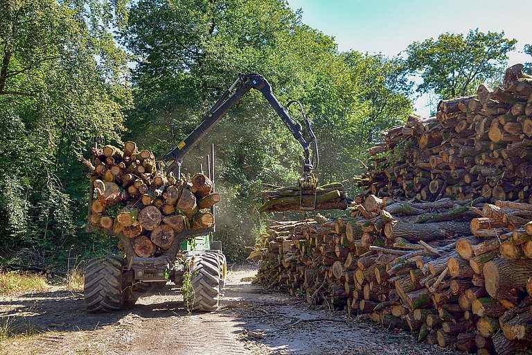 PIXABAY_Holztransport.jpg