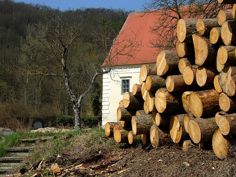 Rundlinge_Haus.JPG