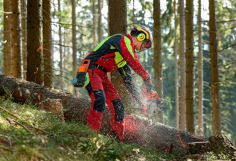 ©FAST Pichl Waldarbeit__FAST_Pichl.jpg