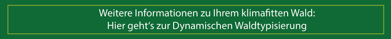 Banner_Dynamische_Waldtypisierung_grün.png 