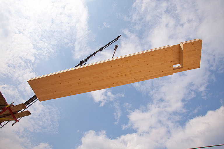 Holzbau.jpg