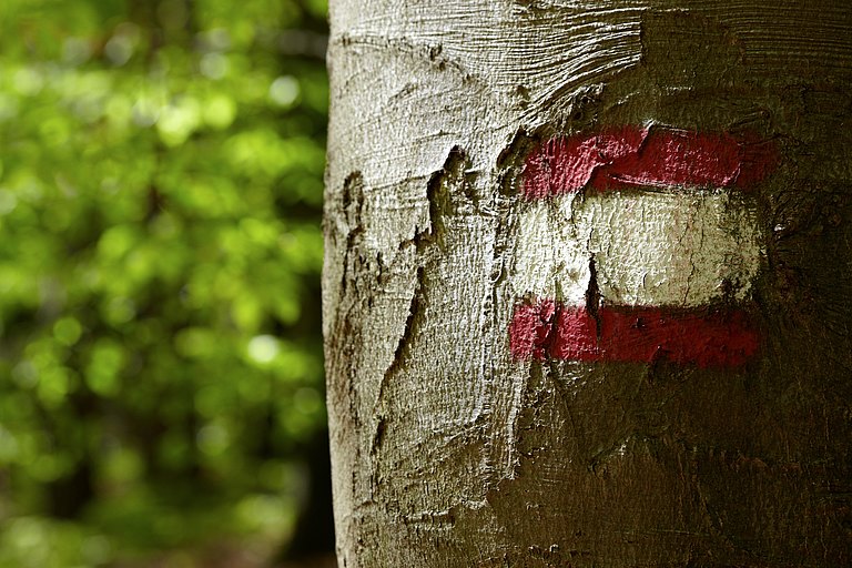 Baum_AT-Markierung.jpg