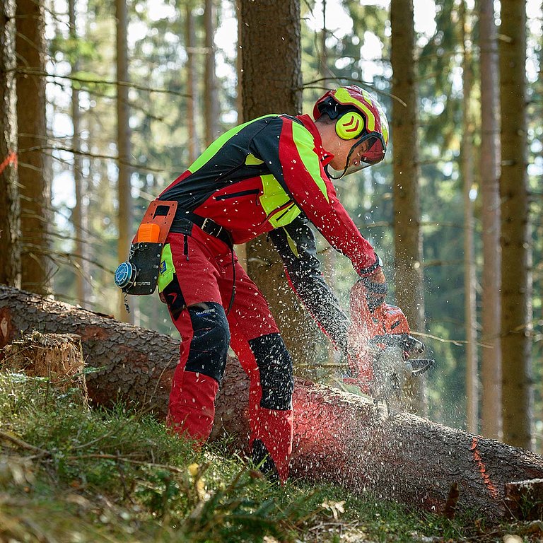 Waldarbeiter zersägt gefällten Baum 