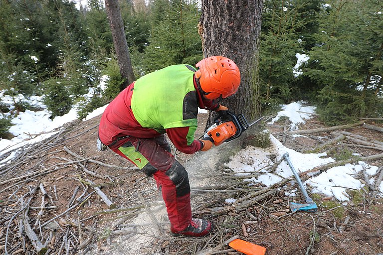 Waldarbeit_7__Waldverband_Steiermark_IMG_4625-min.JPG