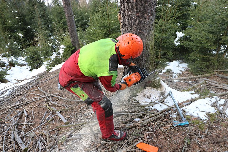 Waldarbeit_7__Waldverband_Steiermark_IMG_4625-min.JPG 