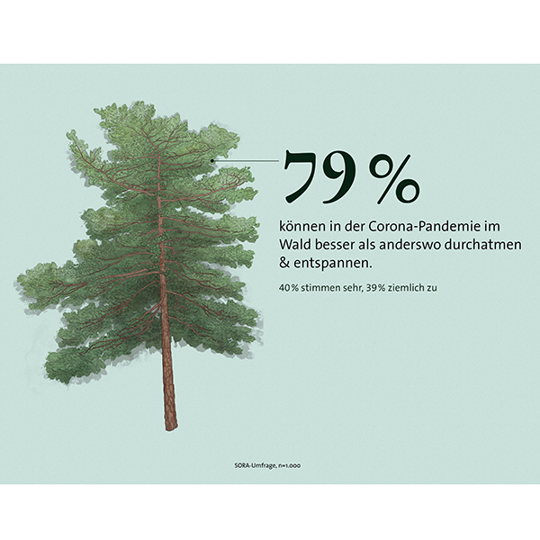 Grafik zum Wald als Helfer in der Pandemie