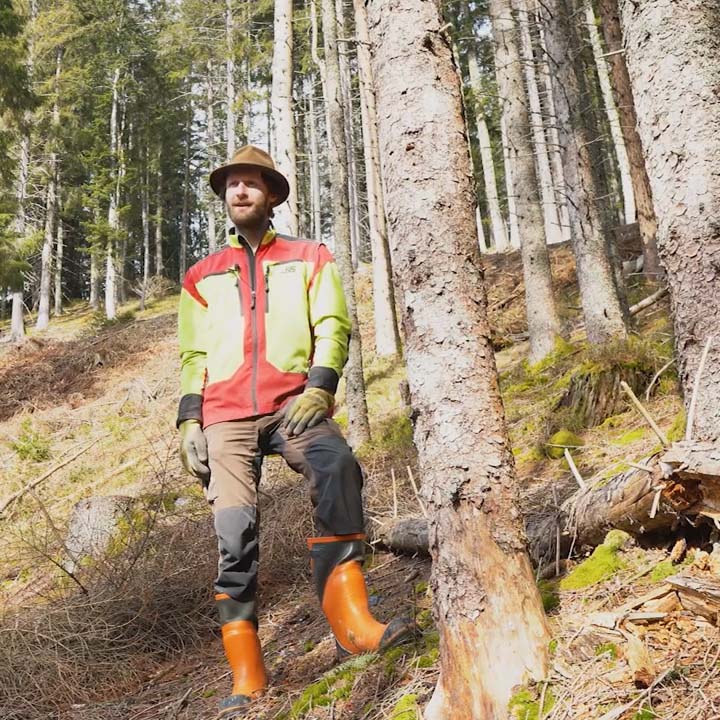 Waldexperte Reinisch in Schutzkleidung im Wald 